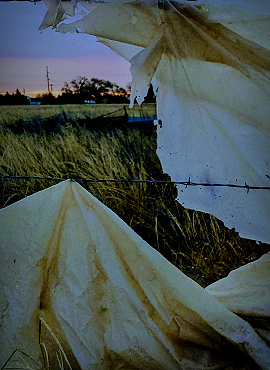 SODDEN